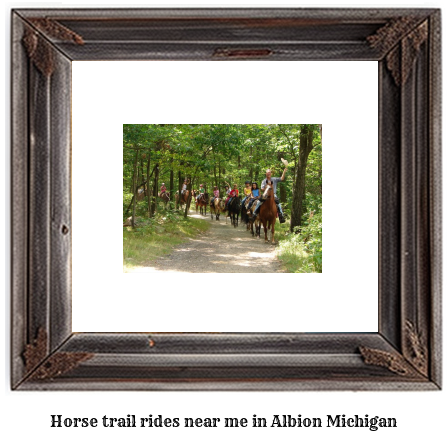 horse trail rides near me in Albion, Michigan